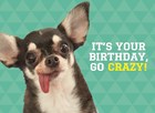 animal fiesta its your birthday go crazy